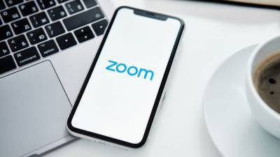 Александр Башкин - В Совфеде допустили блокировку Zoom на территории России - gazeta.ru