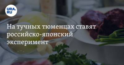 На тучных тюменцах ставят российско-японский эксперимент - ura.news - Япония - Тюмень
