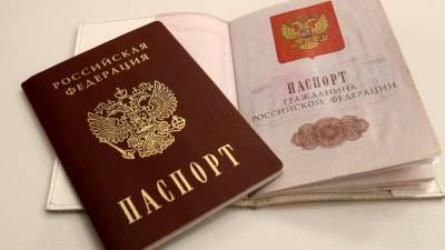 Светлана Бессараб - В ГД оценили сообщения о возможных изменениях в паспортах россиян - m24.ru