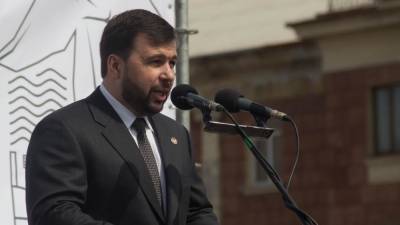 Денис Пушилин - Пушилин допустил привлечение добровольцев при эскалации боев в Донбассе - riafan.ru - ДНР - Донецк