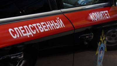 В Подмосковье начали расследование после смерти женщины на приеме у косметолога - iz.ru - Московская обл.