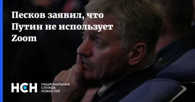 Владимир Путин - Дмитрий Песков - Песков заявил, что Путин не использует Zoom - nsn.fm