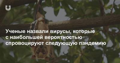 Ученые назвали вирусы, которые с наибольшей вероятностью спровоцируют следующую пандемию - news.tut.by