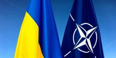 «Сильный сигнал для РФ»: Литва предложит НАТО предоставить Украине ПДЧ - nv.ua - Украина - Литва - Испания