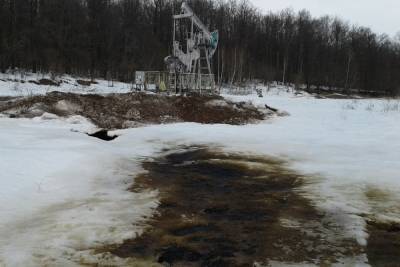 Разлив нефтепродуктов в Альметьевском районе объяснили половодьем - kazan.mk.ru - респ. Татарстан - Набережные Челны - район Альметьевский