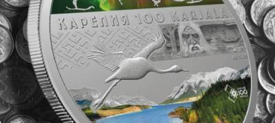 Ревизоров не убедили отчеты мэрии Петрозаводска, как тратились деньги к 100-летию Карелии - stolicaonego.ru - Петрозаводск - республика Карелия