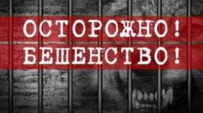 Валерий Радаев - Саратов закрыли на двухмесячный карантин из-за бешеной лисы - polit.info