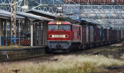 Первый зерновой экспресс отправился из Сибири в Китай - nashgorod.ru - Алтайский край - Забайкальск