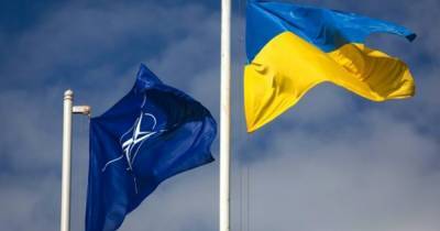 Габриэлюс Ландсбергис - Габриелюс Ландсбергис - Украине нужно предоставить План действий по членству в НАТО, - МИД Литвы - focus.ua - Литва - Испания