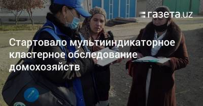 Стартовало мультииндикаторное кластерное обследование домохозяйств - gazeta.uz - Узбекистан - Ташкент