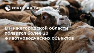 Глеб Никитин - В Нижегородской области появятся более 20 животноводческих объектов - smartmoney.one - Нижегородская обл.