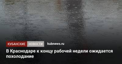 В Краснодаре к концу рабочей недели ожидается похолодание - kubnews.ru - Краснодарский край - Краснодар