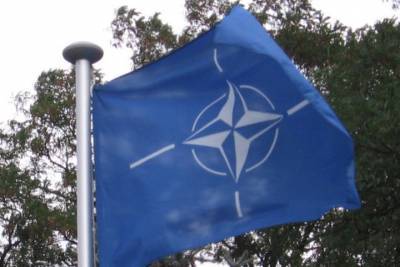 Владимир Зеленский - Ульрика Деммер - В Германии заявили, что вступление Украины в НАТО не на повестке дня - mk.ru