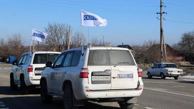 Наблюдатели ОБСЕ зафиксировали в отчете гибель мальчика в Донбассе - iz.ru - ДНР - Донецкая обл.