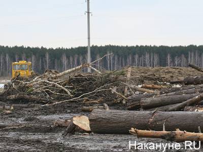 "Это война и захват!" Екатеринбуржцы "схлестнулись" с застройщиком логопарка - nakanune.ru