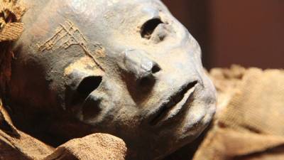 Раскрыта тайна древнеегипетской мумии Такабути - newinform.com - Египет