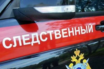 Юлия Иванова - В Москве задержали подозреваемого в надругательстве над двумя мальчиками - aif.ru - Москва