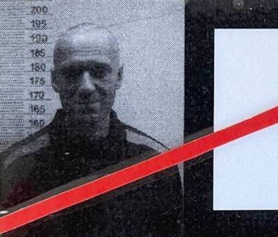 Алексей Навальный - Навальный рассказал о голодовке в ИК: ему подбрасывают конфеты и жарят при нем курицу - znak.com