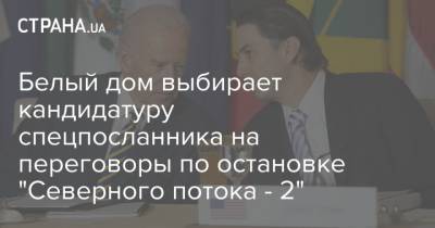 Барак Обама - Энтони Блинкен - Джо Байден - Белый дом выбирает кандидатуру спецпосланника на переговоры по остановке "Северного потока - 2" - strana.ua - США - Переговоры