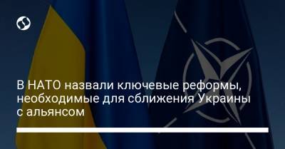 Владимир Зеленский - Руслан Хомчак - В НАТО назвали ключевые реформы, необходимые для сближения Украины с альянсом - liga.net