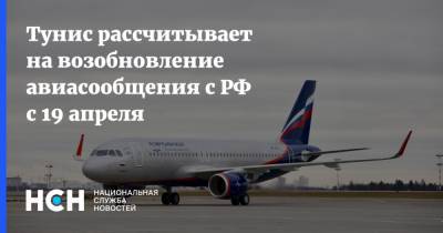 Тунис рассчитывает на возобновление авиасообщения с РФ с 19 апреля - nsn.fm - Тунис - Тунисская Респ.