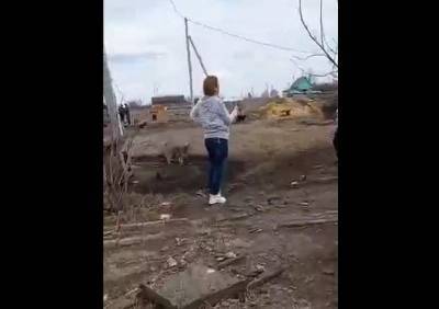 Дмитрий Филиппов - У жены владельца приюта для животных в Сасове случился сердечный приступ - ya62.ru - Рязанская обл.