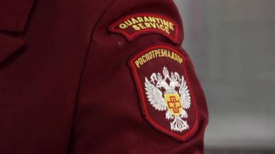 Роспотребнадзор объяснил закрытие "Артдокфеста" - piter.tv