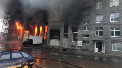 В Люберцах ликвидировано открытое горение на площади в 6 тыс. кв. метров - iz.ru - Московская обл.