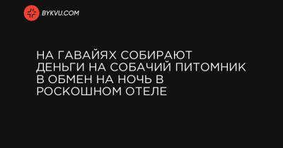 На Гавайях собирают деньги на собачий питомник в обмен на ночь в роскошном отеле - bykvu.com - штат Гавайи