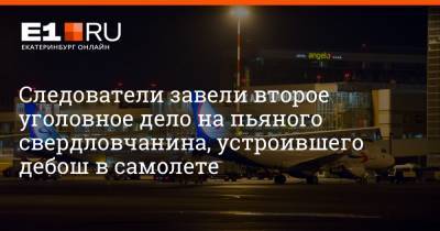 Артем Устюжанин - Следователи завели второе уголовное дело на пьяного свердловчанина, устроившего дебош в самолете - e1.ru - Москва - Екатеринбург - Уральск