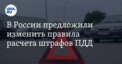 Дмитрий Попов - В России предложили изменить правила расчета штрафов ПДД - ura.news