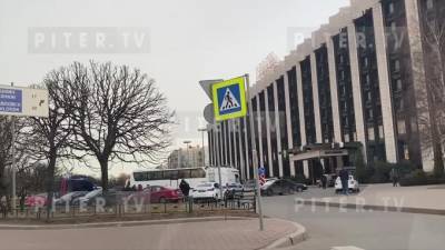 Напавшего с ножом на отца и сына у гостиницы "Пулковская" мужчину поймали в Карелии - piter.tv - Санкт-Петербург - республика Карелия - Нападение