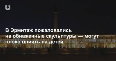 В Эрмитаж пожаловались на обнаженные скульптуры — могут плохо влиять на детей - news.tut.by - Санкт-Петербург