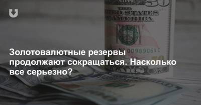 Золотовалютные резервы продолжают сокращаться. Насколько все серьезно? - news.tut.by