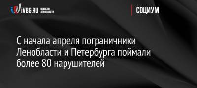 С начала апреля пограничники Ленобласти и Петербурга поймали более 80 нарушителей - ivbg.ru - Ленинградская обл. - Санкт-Петербург - р-н Выборгский - Петербург