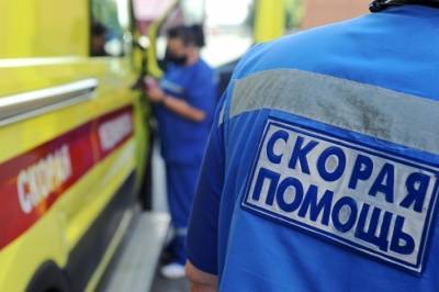 Два человека пострадали в аварии со школьным автобусом на новгородской трассе - interfax-russia.ru - Великий Новгород