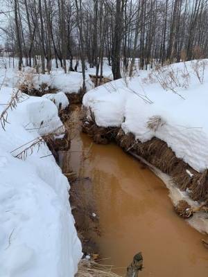 Осадок красно-рыжего цвета на реке Везлома в Борском районе признали нетоксичным - vgoroden.ru - Нижегородская обл. - республика Мордовия