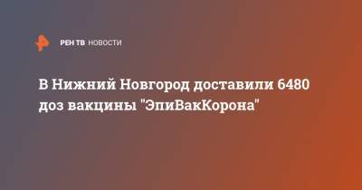 В Нижний Новгород доставили 6480 доз вакцины "ЭпиВакКорона" - ren.tv - Нижний Новгород - Нижний Новгород