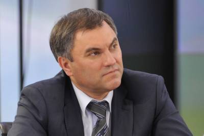 Вячеслав Володин - Володин призвал пользоваться отечественными аналогами ZOOM - mk.ru