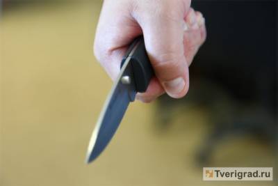 В Тверской области мужчина ударил ножом двух полицейских - tverigrad.ru - Тверская обл.