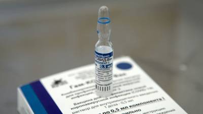 В Армению доставили первую партию вакцины «Спутник V» - news-front.info - Россия - Армения - Ереван
