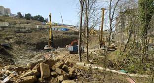 Сочинцы пожаловались на вырубку леса застройщиком - kavkaz-uzel.eu - Сочи
