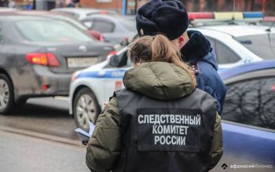 В Тверской области пьяный мужчина пытался зарезать ножом полицейских в салоне служебной машины - afanasy.biz - Тверская обл. - Следственный Комитет