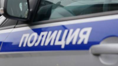 В «новой Москве» задержали подозреваемого в сбыте фальшивых справок - iz.ru - Москва