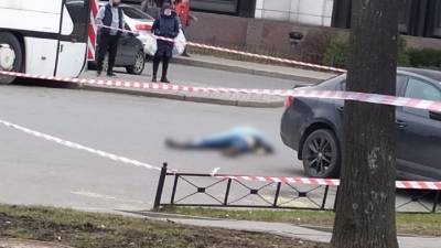 Подозреваемого в нападении на отца и сына в Петербурге задержали в Карелии - ivbg.ru - Санкт-Петербург - Петербург - республика Карелия - Нападение