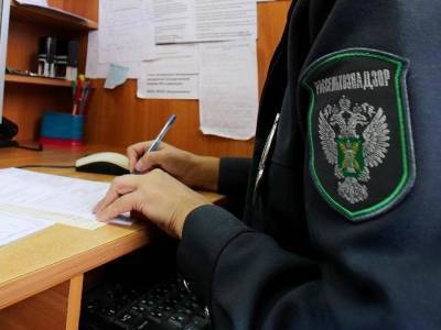 200 кг просроченной рыбы поставили на южноуральские предприятия и в больницу - u24.ru - Магнитогорск