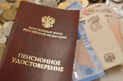 Михаил Щапов - Доставлять региональные соцдоплаты к пенсии предложили за счёт федерального бюджета - pnp.ru