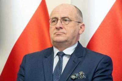 Збигнев Рау - Глава МИД Польши экстренно вылетает в Киев - lenta.ua - Украина - Киев - Польша