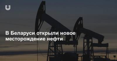 В Беларуси открыли новое месторождение нефти - news.tut.by - Гомельская обл. - Речица
