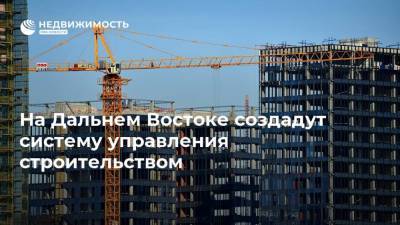 Юрий Трутнев - На Дальнем Востоке создадут систему управления строительством - realty.ria.ru - Россия - Дальний Восток
